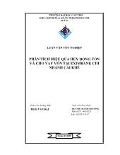 Luận văn Phân tích hiệu quả huy động vốn và cho vay vốn tại Ngân hàng Thương mại cổ phần Xuất Nhập Khẩu Việt Nam – Chi nhánh Cái Khế TP. Cần Thơ