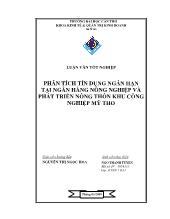 Luận văn Phân tích tín dụng ngắn hạn tại ngân hàng nông nghiệp và phát triển nông thôn khu công nghiệp Mỹ Tho