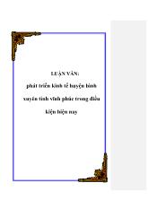 Luận văn Phát triển kinh tế huyện bình xuyên tỉnh vĩnh phúc trong điều kiện hiện nay