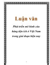 Luận văn Phát triển mô hình cửa hàng tiện ích ở Việt Nam trong giai đoạn hiện nay