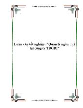 Luận văn Quản lý ngân quỹ tại công ty TBGDI