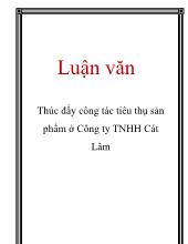 Luận văn Thúc đẩy công tác tiêu thụ sản phẩm ở Công ty TNHH Cát Lâm
