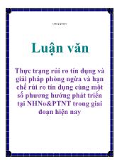 Luận văn Thực trạng rủi ro tín dụng và giải pháp phòng ngừa và hạn chế rủi ro tín dụng cùng một số phương hướng phát triển tại Ngân hàng nông nghiệp và phát triển nông thôn trong giai đoạn hiện nay