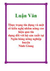 Luận văn Thực trạng tín dụng và một số kiến nghị nhằm nâng cao hiệu quả tín dụng đối với hộ sản xuất tại Ngân hàng nông nghiệp huyện Ninh Giang