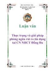 Luận văn Thực trạng và giải pháp phòng ngừa rủi ro tín dụng tai Chi nhánh Ngân hàng công thương Đống Đa