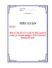 Tiểu luận Một số vấn đề về Cơ cấu tổ chức quản lý trong các doanh nghiệp ở Việt Nam theo hướng đổi mới