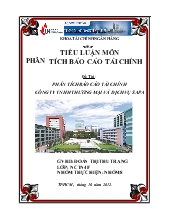 Tiểu luận Phân tích tài chính công ty TNHH Thương mại và Dịch vụ Sapa