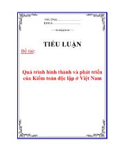 Tiểu luận Quá trình hình thành và phát triển của Kiểm toán độc lập ở Việt Nam