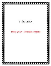 Tiểu luận Tổng quan mô hình Camels