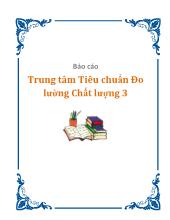 Báo cáo Trung tâm tiêu chuẩn đo lường chất lượng 3