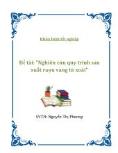 Đề tài Nghiên cứu quy trình sản xuất rượu vang từ xoài