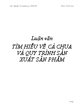 Luận văn Tìm hiểu về cà chua và quy trình sản xuất sản phẩm