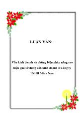 Luận văn Vốn kinh doanh và những biện pháp nâng cao hiệu quả sử dụng vốn kinh doanh ở Công ty TNHH Minh Nam
