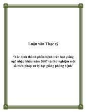 Luận văn Xác định thành phần bệnh trên hạt giống ngô nhập khẩu năm 2007 và thử nghiệm một số biện pháp xử lý hạt giống phòng bệnh