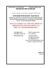 Báo cáo Nghiên cứu tiền khả thi để ổn định bờ lòng dẫn sông Đồng Nai khu vực thành phố Biên Hòa