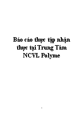 Báo cáo Thực tập nhận thực tại Trung Tâm NCVL Polyme