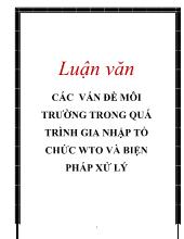 Các vấn đề môi trường trong quá trình gia nhập tổ chức WTO và biện pháp xử lý