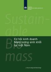 Cơ hội kinh doanh Năng lượng sinh khối tại Việt Nam