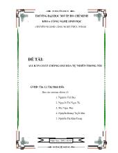 Đề tài Allicin chất chống oxi hóa tự nhiên trong tỏi