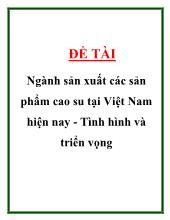 Đề tài Ngành sản xuất các sản phẩm cao su tại Việt Nam hiện nay -Tình hình và triển vọng