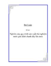 Đề tài Nghiên cứu quy trình sản xuất thửnghiệm nước giải khát chanh dây lên men