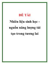 Đề tài Nhiên liệu sinh học -Nguồn năng lượng tái tạo trong tương lai