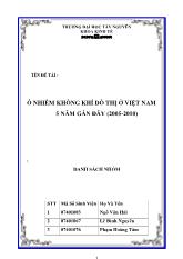 Đề tài Ô nhiễm không khí đô thị ở Việt Nam 5 năm gần đây (2005-2010)