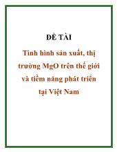 Đề tài Tình hình sản xuất, thị trường MgO trên thế giới và tiềm năng phát triển tại Việt Nam