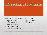 Đề tài Trình bày về chuỗi thức ăn và lưới thức ăn