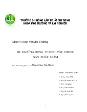 Đề tài Ứng dụng vi sinh vật trong sản xuất giấm