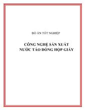 Đồ án Công nghệ sản xuất nước táo đóng hộp giấy