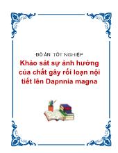 Đồ án Khảo sát sự ảnh hưởng của chất gây rối loạn nội tiết lên Dapnnia magna