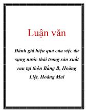 Luận văn Đánh giá hiệu quả của việc dử sụng nước thải trong sản xuất rau tại thôn Bằng B, Hoàng Liệt, Hoàng Mai