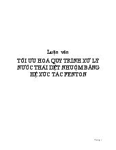 Luận văn Tối ưu hoá quy trình xử lý nước thải dệt nhuộm bằng hệ xúc tác Fenton