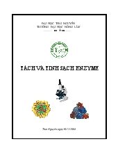 Tách và tinh sạch enzyme