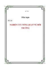 Tiểu luận Nghiên cứu tổng quan về môi trường