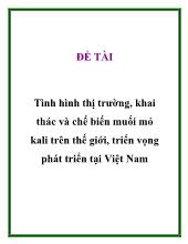 Tình hình thị trường, khai thác và chế biến muối mỏ kali trên thế giới, triển vọng phát triển tại Việt Nam