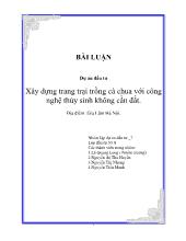 Xây dựng trang trại trồng cà chua với công nghệthủy sinh không cần đất