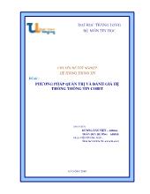 Đề tài Phương pháp quản trị và đánh giá hệ thống thông tin cobit