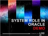 System role in oracle demo