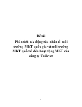 Đề tài Phân tích tác động của nhân tố môi trường marketing quốc gia và môi trường marketing quốc tế đến hoạt động marketing của công ty Unilever