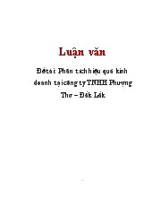 Luận văn Phân tích hiệu quả kinh doanh tại công ty TNHH Phượng Thơ – Đắk Lắk