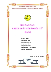 Báo cáo Bài chiết xuất tế bào gốc từ răng
