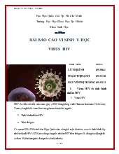 Báo cáo Bài vi sinh y học virus HIV