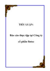 Báo cáo Thực tập tại Công ty cổ phần fintec
