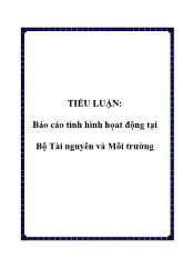 Báo cáo Tình hình họat động tại Bộ Tài nguyên và Môi trường