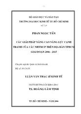 Các giải pháp nâng cao năng lực cạnh tranh của các Ngân hàng thương mại cổ phần trên địa bàn thành phố Hồ Chí Minh giai đoạn 2006 - 2015
