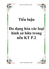 Đa dạng hóa các loại hình sở hữu trong nền kinh tế P.2