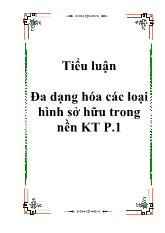 Đa dạng hóa các loại hình sở hữu trong nền kinh tế P.1