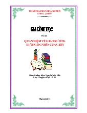 Đề tài Quan niệm về gia trưởng dưới góc nhìn của giới